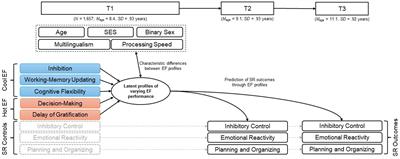 Profiles of executive functions in middle childhood and prediction of later self-regulation